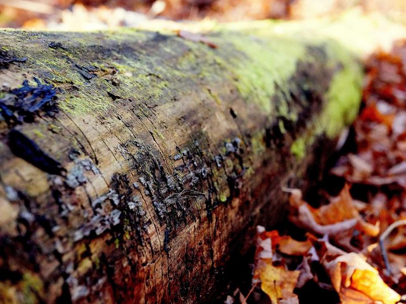 sudoku pattern learning screenshot 2